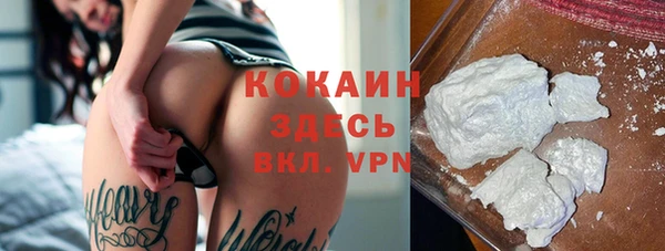 бошки Аркадак