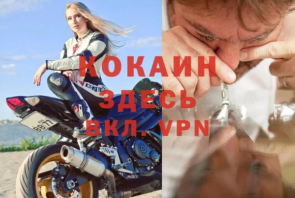 бошки Аркадак