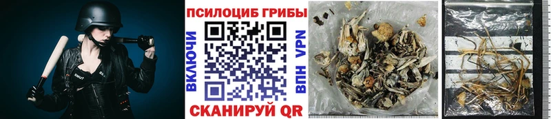 Галлюциногенные грибы ЛСД Усолье-Сибирское