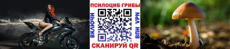 Псилоцибиновые грибы Psilocybine cubensis  Усолье-Сибирское 
